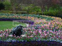 Arboretum dan Kebun Raya Dallas
