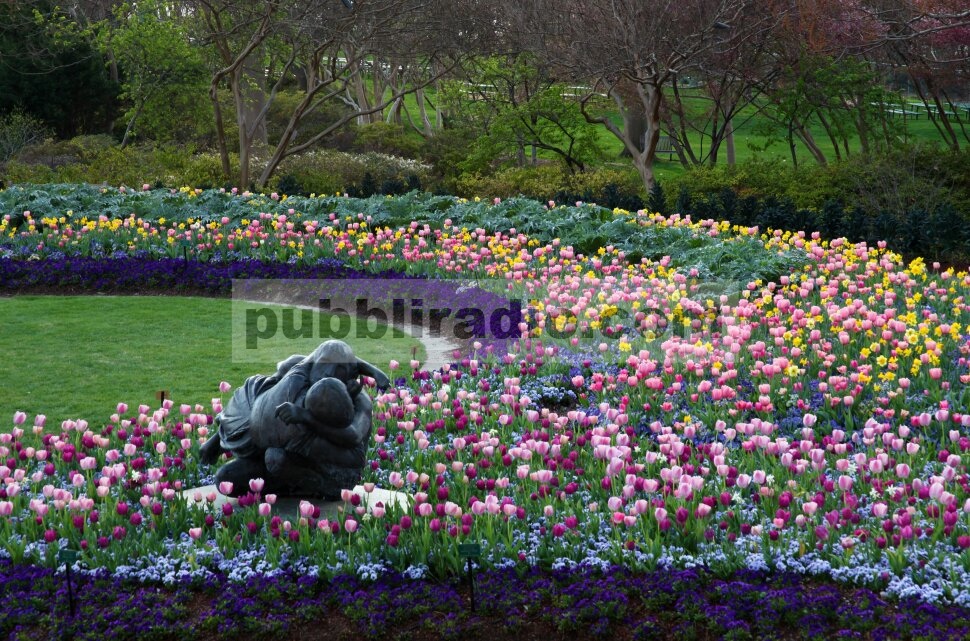Arboretum dan Kebun Raya Dallas