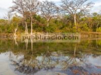 Braunfels Baru